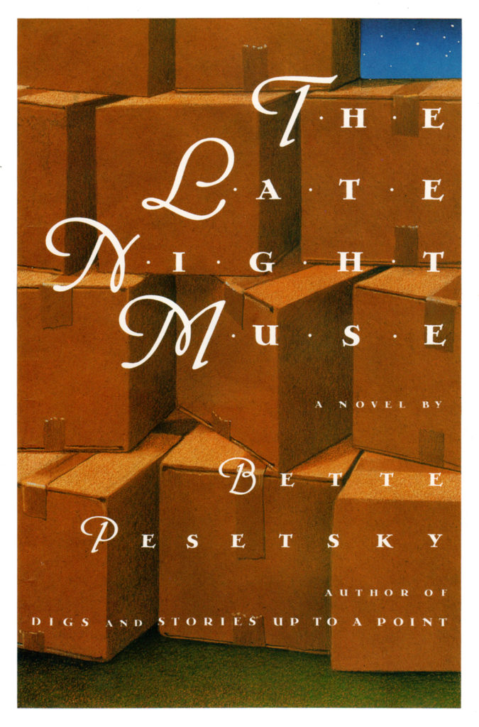 Book cover of The Last Night Muse