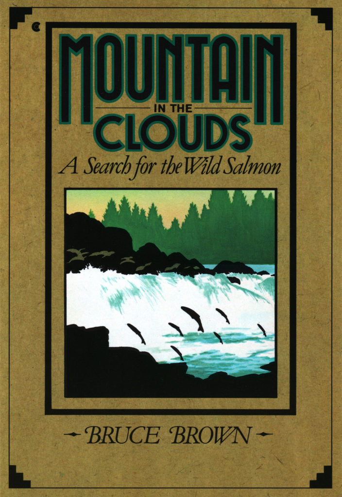 Book cover of Mountain in the Clouds