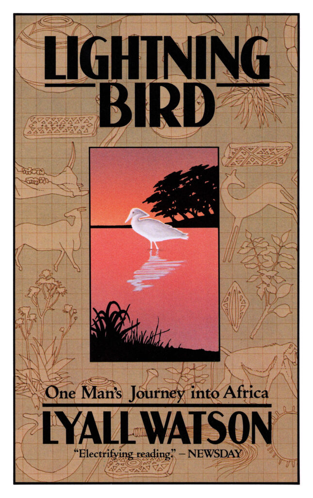 Book cover of Lightning Bird