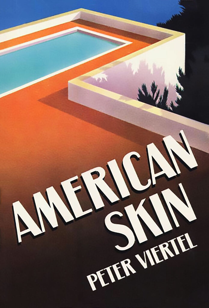 Book cover of American Skin