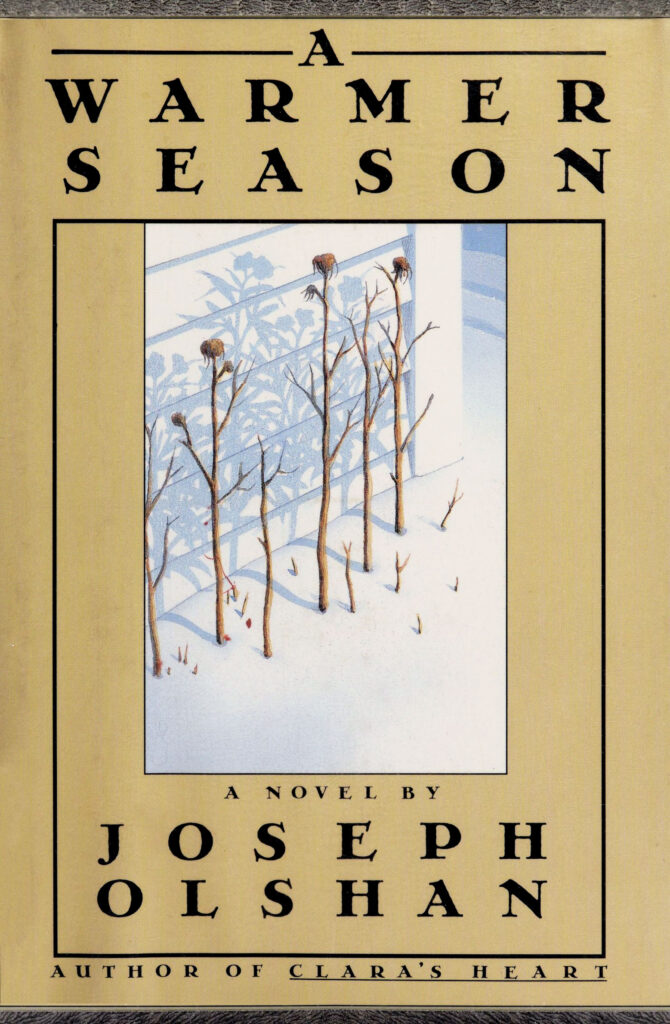 Book cover of A Warmer Season